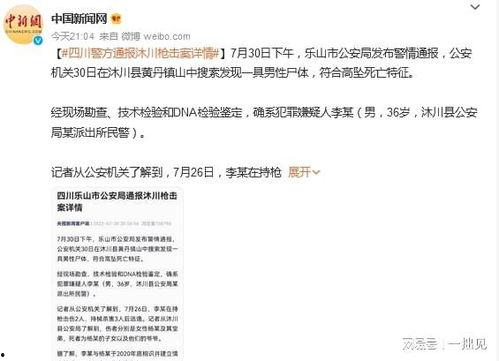 四川枪击案爆料最新进展,案情升级，警方全力追捕嫌疑人