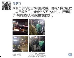 大渡口最新爆料信息网,揭秘城市热点事件背后的真相