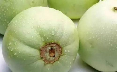 莱州吃瓜最新事件爆料是真的吗,最新爆料真相揭秘