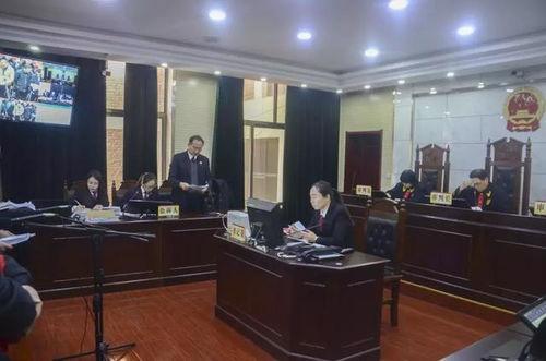 石家庄高邑爆料案件最新,真相渐浮水面，警方全力侦破中