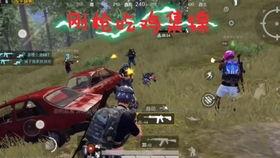 t1训练赛最新爆料,神秘爆料揭示赛场风云