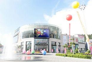 陈村荔园新闻最新爆料